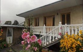 Nino'S Guest House
